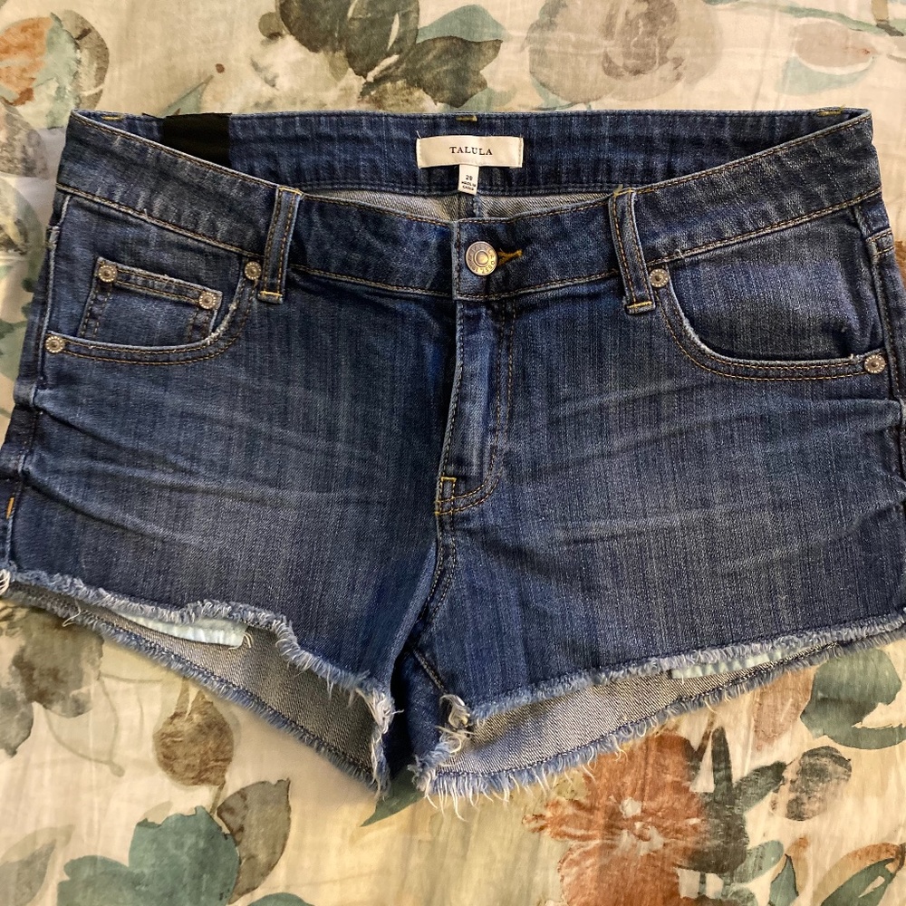 Aritzia Talula Shorts
